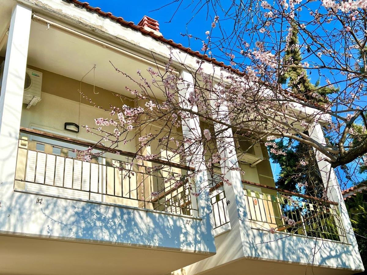 Villa Sea Side Malibu Nikiti  Exterior foto