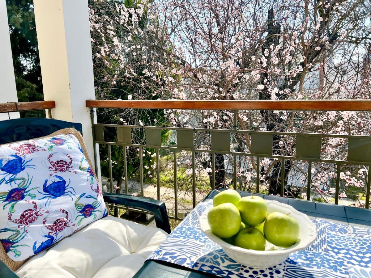 Villa Sea Side Malibu Nikiti  Exterior foto